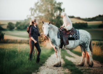 martin rütter conny sporrer paar