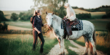 martin rütter conny sporrer paar